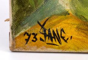 Olvashatatlan jelzéssel: Kalapos hölgy. Olaj, vászon, festék kopással, 39×30 cm