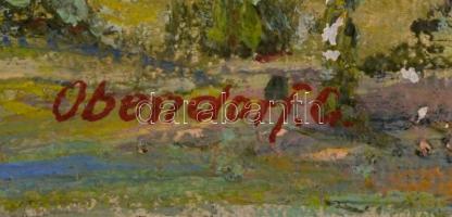 Obendorf jelzéssel: Házak a völgyben. Olaj,karton, 23×36 cm