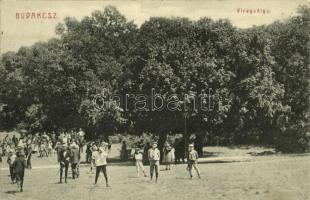 1906 Budakeszi, Virágvölgy, kiránduló gyerekek. Stern Jakab kiadása