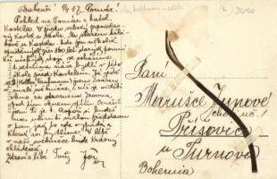 Pomáz, látkép templommal. Tóth Pál kiadása, hátoldalon növény