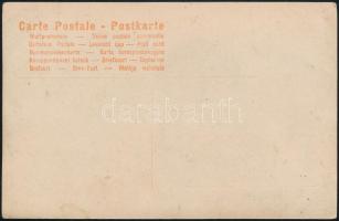 cca 1920 Kossuth Lajos (1802-1894) időskori portréja, Michele Schemboche fotója nyomán készült későb...