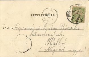 1905 Budapest XIII. Margitsziget, Neptun evezős egylet csónakháza, Margit híd. Divald Károly 600. sz...