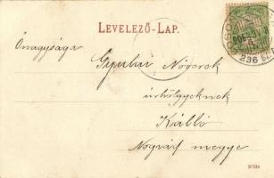 1906 Gödöllő, Állami méhészeti gazdaság, méhkaptárok + "LOSONCZ - ASZOD 236. SZ. A" vasúti...