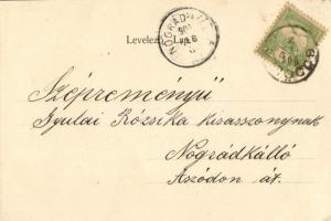 1904 Gödöllő, Erzsébet királyné (Sisi) szobor megkoszorúzva. Kiadja Nemesánszky Józsefné (EK)