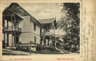 Bártfa, Bártfafürdő, Bardejovské Kúpele, Bardiov, Bardejov; Dr. Blumenfeld villa. Divald Adolf 142. / villa (Rb)