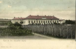 1902 Eger, M. kir. vincellér iskola, szőlőskert. "Baross" (fl)