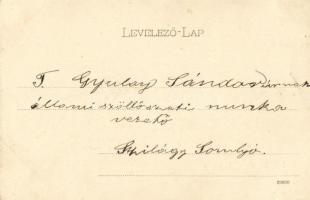 1902 Eger, M. kir. vincellér iskola, szőlőskert. "Baross" (fl)
