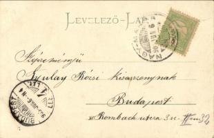 1905 Nagymaros, Fő tér, üzletek, templom, Millenniumi emlékmű. Kiadja Holtság Károly