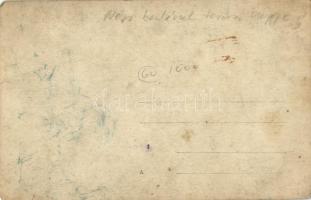 Volkstuinders Lente Dag, Plataan Lente Boom /  Dutch allotment gardening spring day. photo (EK)