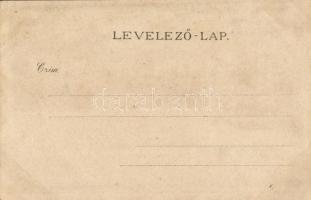 1904 Szliács, Sliac; Gyógyfürdő, Hungária és Buda szálloda, magyar címer. Kiadja Ivánszky elek Beszt...