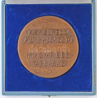 Horváth János (1940-) DN "Dr. Lissák Kálmán 1908-1982 / Kiemelkedő Munkásságért Magyar EEG Társ...