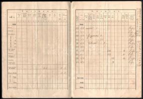 cca 1920 Abádszalók, községi mezőőr adókönyvecskéje