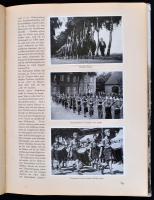 1933 Deutschland erwacht gyűjtőalbum Hitler hatalomra kerülésének történetét ábrázoló cigarettacímké...