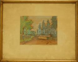 cca 1910 grafika Nagy Szalók jelzéssel keretben 40x32cm