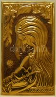 A Szűzanyát ábrázoló 5 db nagynéretű fém dombornyomat
