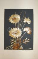 29 db nagyméretű szalmakép