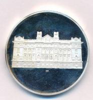 2007. "MNB Sportkör - 80 éves - 1927-2007" ezüstözött (?) fém emlékérem (42,5mm) T:1- (PP)...