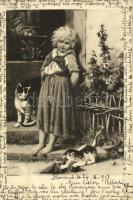 17 db régi macska motívumlap / 17 pre-1945 cat motive cards