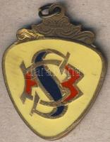 Románia cca. 1940-es évek vége DN "FC Steaua Bucuresti" alapító (?) érem T:2