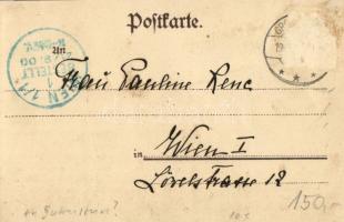 1900 Wallshausen, Schloss, 1000 jährige Eiche / castle, 1000 year old oak tree. Art Nouveau, floral ...