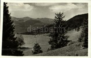 Kőrösmező, Jaszinya, Jasina, Yasinia; Bliznica / mountain