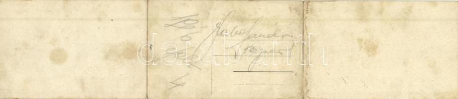 Belgrade, Belgrád; 3-tiled folding panoramacard (torn at fold)