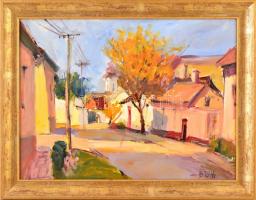 B. Tóth Edit (1958-): Utca sárga lombos fával. Olaj, farost, jelzett, keretben, 30×40 cm