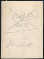 cca 1932 Kinszki Imre (1901-1945) budapesti fotóművész hagyatékából, a szerző által feliratozott vin...