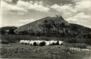 Lippa, Lipova; Cetatea Soimos / Solymosi vár, legelő juhnyáj / castle, grazing sheep. Steinitzer photo
