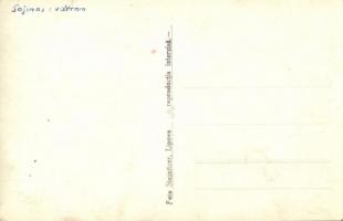 Lippa, Lipova; Cetatea Soimos / Solymosi vár, legelő juhnyáj / castle, grazing sheep. Steinitzer pho...