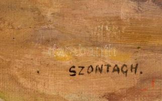 Szontágh Tibor (1873-1930): Hazafelé. Olaj, vászon, jelzett,  restaurált, 50×60 cm