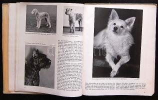 1938 Paul Eippel: Das Haustierbuch német nyelvű album a háziállatokról sok képpel