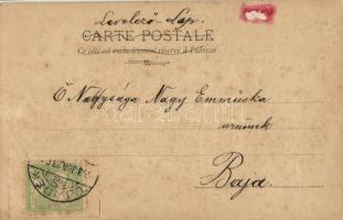 Le Culte du Gui / Mistletoe worship, ladies, H. Manuel Paris (Rb)