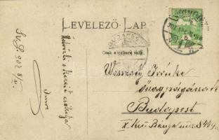 1907 Székesfehérvár, Héjj Imre mészáros üzlete előtt, fűszer, liszt termény, vetemény magvak, déli g...