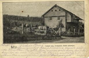 Mór, szüreti kép Schindele Antal pincéjénél, boros hordók (Rb)