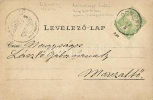 1905 Domony, mezőgazdasági munka, aratás, cséplés gőzgéppel a birtokon. "A küldött dadát köszön...