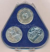 Csúcs Viktória (1934-) DN "Kalocsa, Kiskunhalas, Mezőkövesd" ezüstözött fém emlékérem szet...