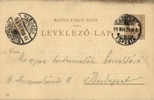 1899 Esztergomi bazilika, Visegrádi vár, gőzhajó. Ezredéves Országos Kiállítás barna 2 Kr. Ga. litho...