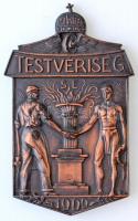 1939. "Testvériség SE 1909" Br sport emlékplakett, eredeti tokban (84,5x52mm) T:1-