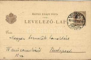 1899 Pozsony, Pressburg, Bratislava; Ezredéves Országos Kiállítás, Dévényi vár, gőzhajók / Devín cas...