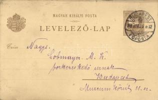 1898 Budapest, budapesti színházak: Operaház, Nemzeti Színház, Népszínház; Ezredéves Országos Kiállí...