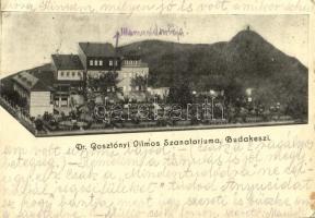 1937 Budakeszi, Dr. Gosztonyi Vilmos szanatóriuma, reklámlap (EB)
