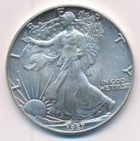 Amerikai Egyesült Államok 1987. 1$ Ag "Amerikai Sas" eredeti tokban, tanúsítvánnyal T:BU
...