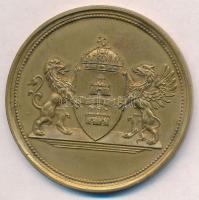 1928. "Budapest Sport Egyesület - B.S.E. Csillag Tura út 1928" aranyozott Br emlékérem (61...