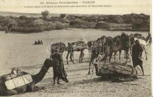 Le sel barre de 30 Kilos environ arrive par caravanes de Taoudenit (Sahara) / caravan, camels, folklore from Mali