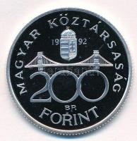 1992. 200Ft Ag "MNB" T:PP
Adamo F13