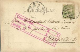 1906 Esztergom, üzlet belső eladókkal. photo