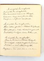 Régi bőr monogramos notesz, ezüst rátéttel, belsejében publikált versekkel