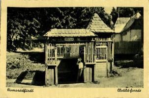 Homoródfürdő, Baile Homorod (Szentegyháza, Vlahita); Clotild forrás / spring (EK)