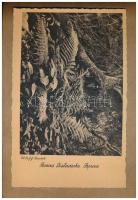 Krakkói album: Kassay Farkas László erdőmérnök hallgató az 1939 július-augusztus havi lengyelországi...